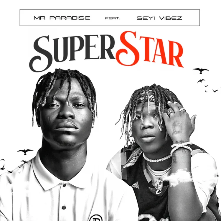 Mr Paradise – Superstar ft Seyi Vibez