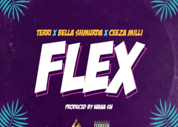 Terri – Flex ft Bella Shmurda & Ceeza Milli
