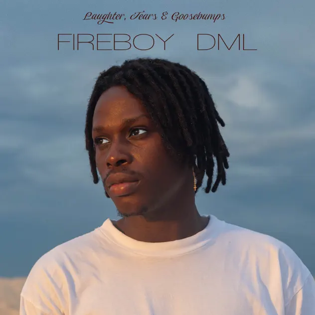 Fireboy DML – Laughter, Tears & Goosebumps Album