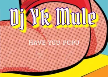 DJ YK Mule – Have You Pupu