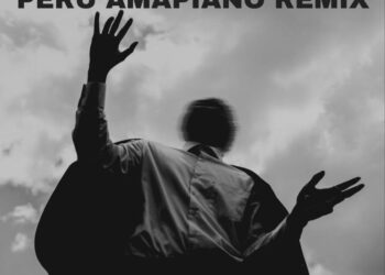 Fireboy DML – Peru (Amapiano Remix) ft Nektunez
