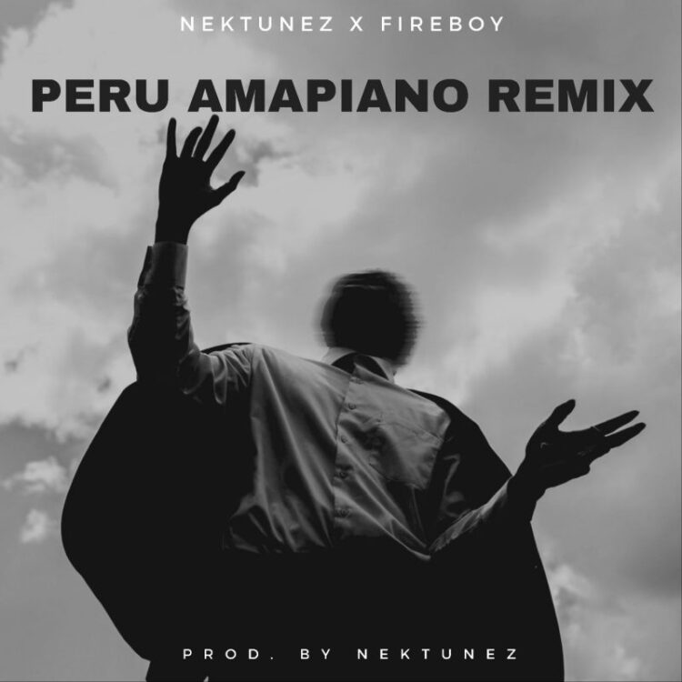 Fireboy DML – Peru (Amapiano Remix) ft Nektunez