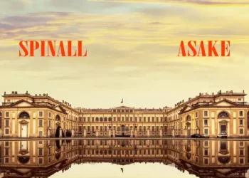 Spinall – Palazzo ft Asake