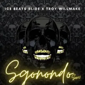 Ice Beats Slide & Troy willmake – Sgonondo Se 45 Album