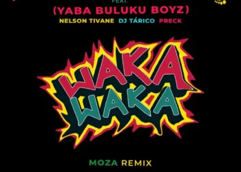 Zoro – Waka Waka Moza Remix ft Yaba Buluku Boyz, Preck, Nelson Tivane & DJ Tarico