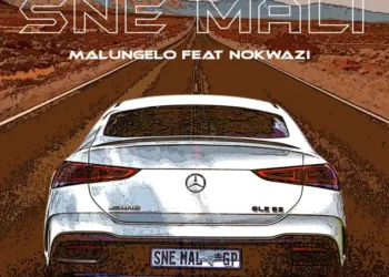 Malungelo – Sne Mali ft Nokwazi