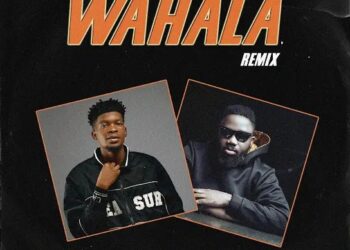 Tenny Eddy – Wahala Remix ft Magnito