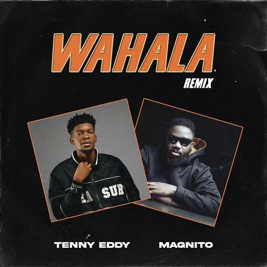 Tenny Eddy – Wahala Remix ft Magnito