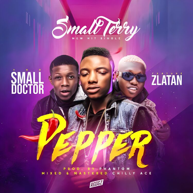 Small Terry – Pepper ft Zlatan & Small Doctor