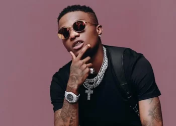 7 Records only Wizkid Holds In the African music Industry