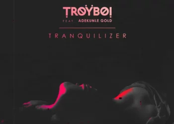TroyBoi – Tranquilizer ft Adekunle Gold
