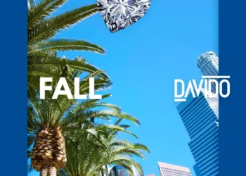 Davido – Fall