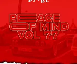 DJ Ace – Peace of Mind Vol 77