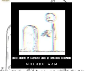 Drip Gogo – Mhlobo Wam ft. Mgucci Fab & Exceed Deejay