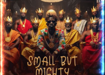 Shatta Wale – Small But Mighty